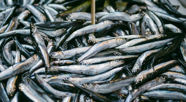 Discover comfort: asics orthopedic shoes for everyone